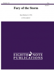 Fury of the Storm